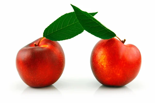 Mogen persika (nektarin) med gröna blad — Stockfoto