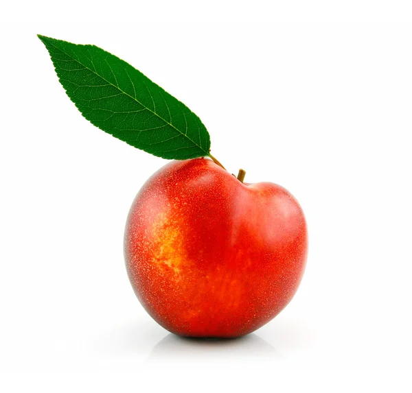 Rijp Peach (Nectarine) met groene bladeren — Stockfoto
