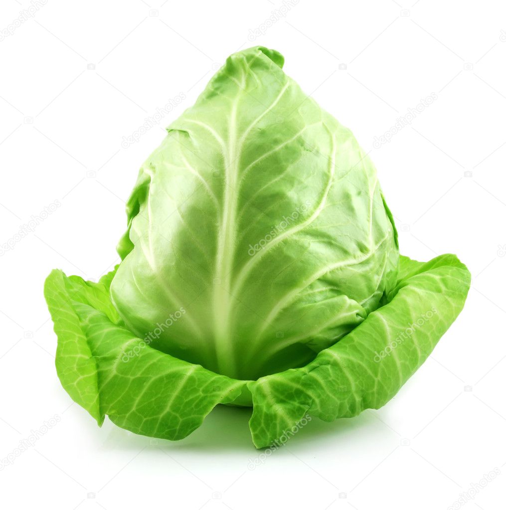 Ripe Green Cabbage Isolated on White