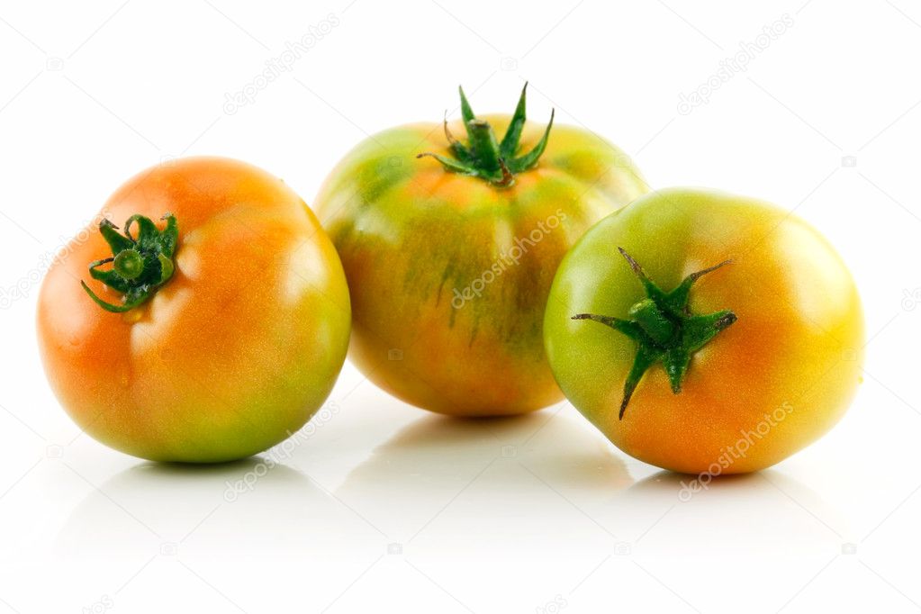 Ripe Wet Red and Green Tomatoes Isolated
