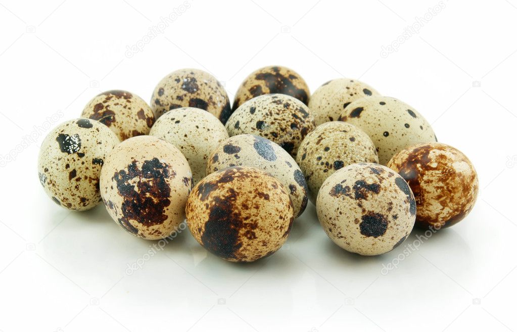 Group of Raw Quail Eggs Isolated on Whit