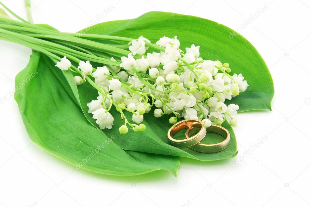 Lily of the Valley and Golden Rings Isol
