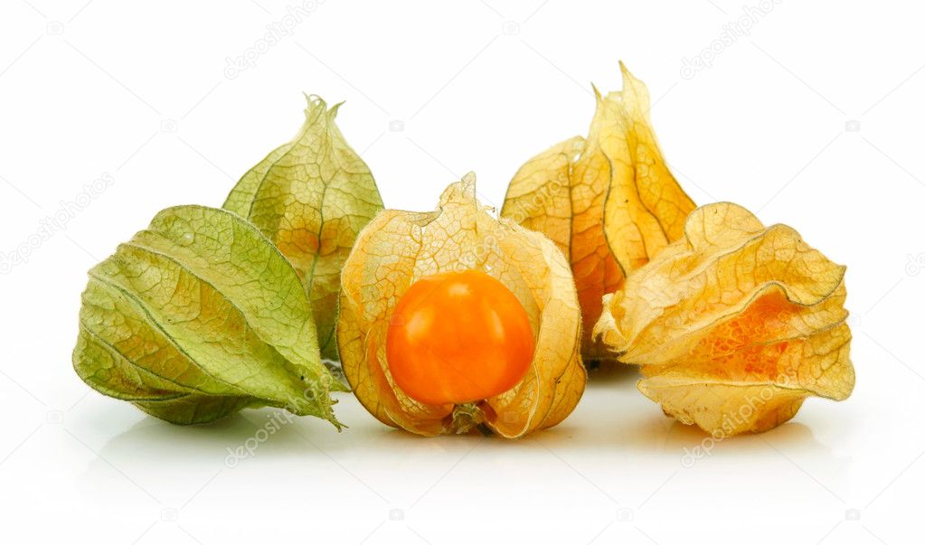 Cape Gooseberry (Physalis) Isolated