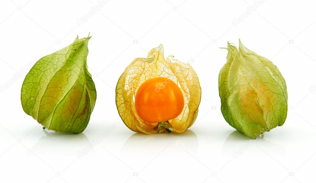 Cape Gooseberry (Physalis) Isolated on W