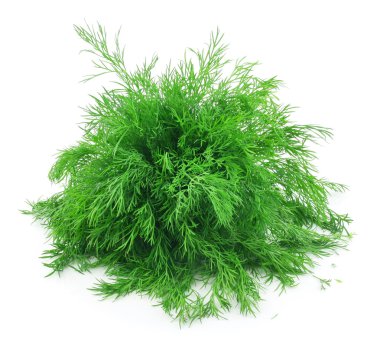 Bunch of Ripe Dill Isolated on White clipart