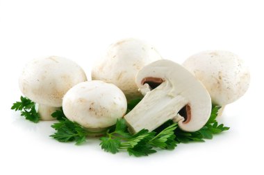 champignon mantar ve maydanoz izole