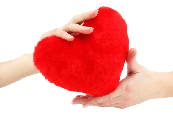 Primer plano del corazón de madera roja en hembra h —  Fotos de Stock