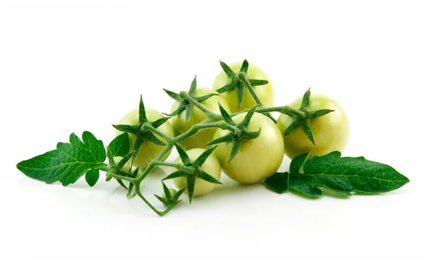Ramo de tomates amarillos maduros con verde —  Fotos de Stock