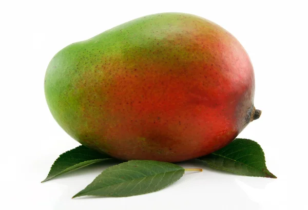 Спелые фрукты манго с зелеными листьями изолат — стоковое фото