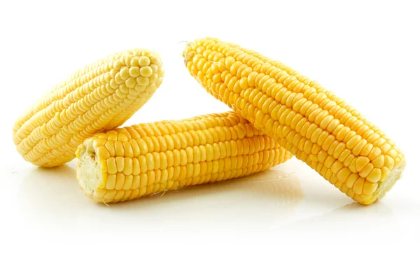 Спелые желтые кукурузы изолированы на белом — стоковое фото