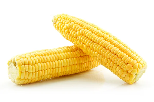 Ripe Yellow Corn Isolated on White — Stock Photo, Image