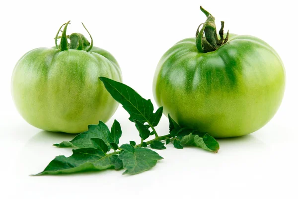 Bund reifer gelber Tomaten mit grünen — Stockfoto