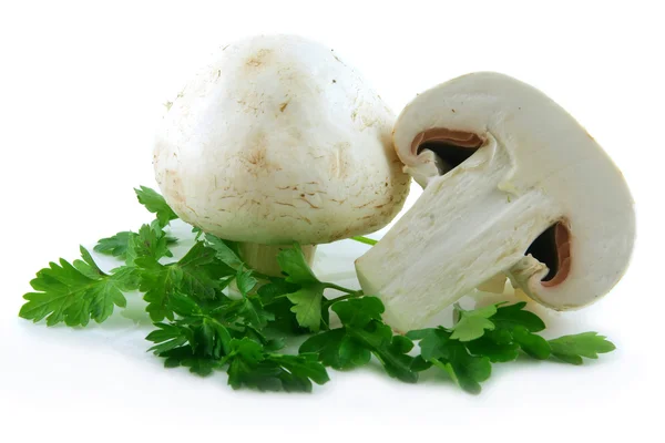 Champignon Mushrooms and Parsley Isolate — Stock Photo, Image