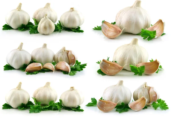 Collection of Garlic Vegetable with Gree — Stock Photo, Image