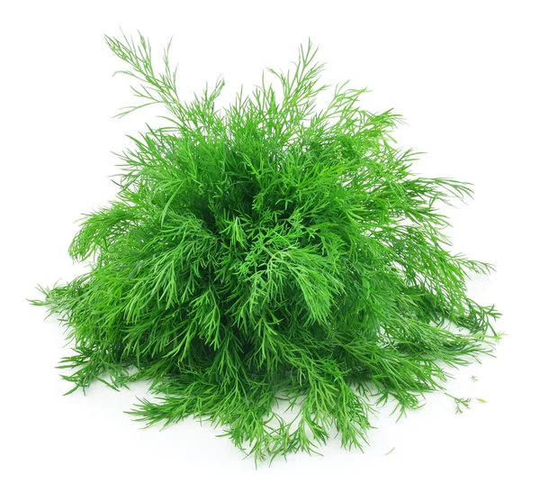 Bunch of Ripe Dill Isolated on White Stock Image