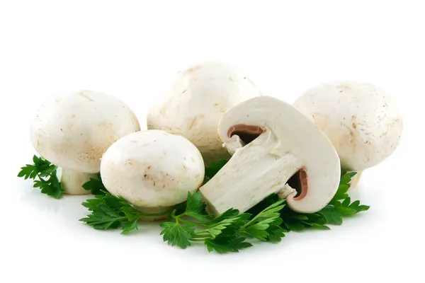 Champignon Mushrooms and Parsley Isolate — Stock Image Champignon Mushrooms and Parsley Isolate Stock Picture