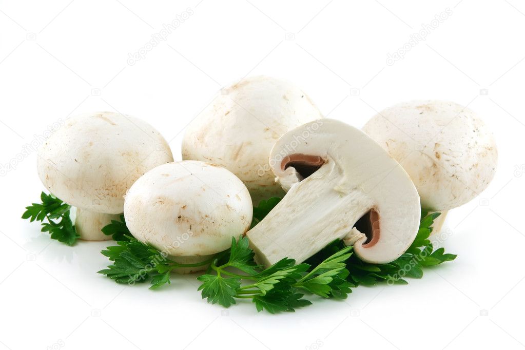 Champignon Mushrooms and Parsley Isolate