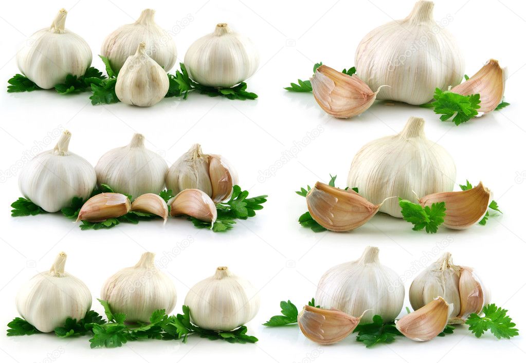 Collection of Garlic Vegetable with Gree