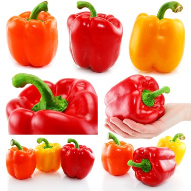 Collection of colored paprika isolated clipart