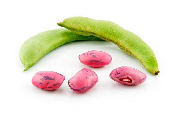 Ripe Haricot Beans with Seed Isolated on — Stock Photo, Image