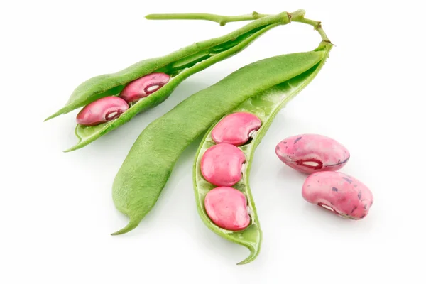 Fagioli di fagiolo bianco maturi con seme e foglie — Foto Stock