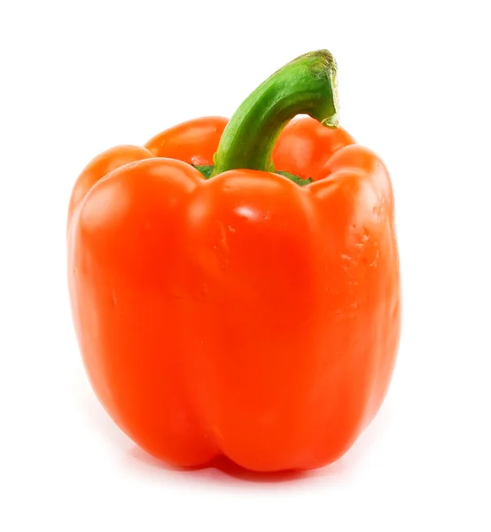 Colored orange paprika isolated — Stock Photo, Image