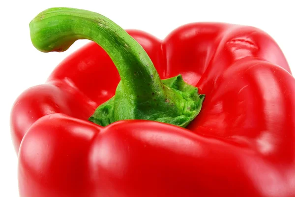 Extrémní closeup barevných červené papriky jsem — Stock fotografie