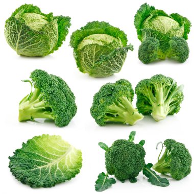 Set of Ripe Broccoli and Savoy Cabbage clipart