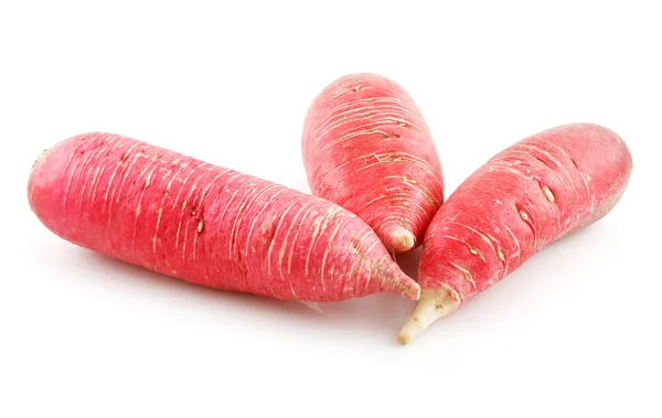 Ripe Red Radish Vegetable Isolated — Stock Photo, Image