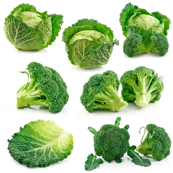 Uppsättning av mogen broccoli och Savojen kål — Stockfoto