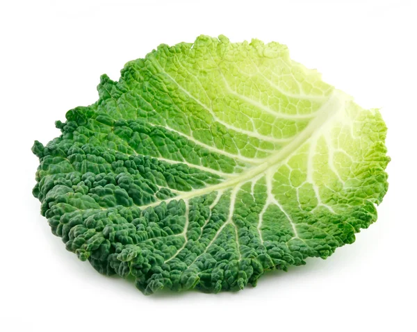 Leaf of Ripe Savoy Cabbage Isolated — Stock Photo, Image