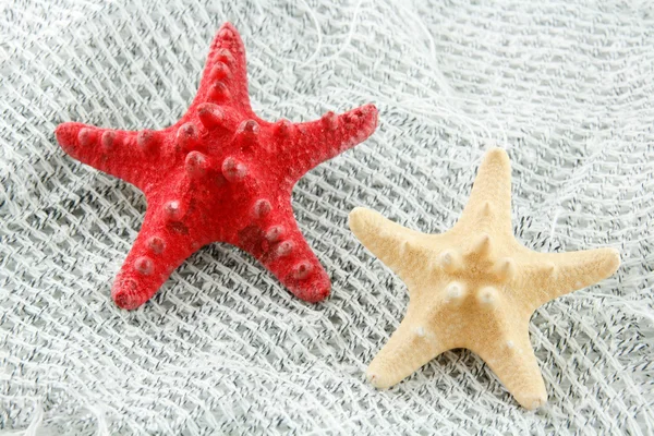Colored Seashell (Starfish) on a Fishing Net — Stock Photo, Image