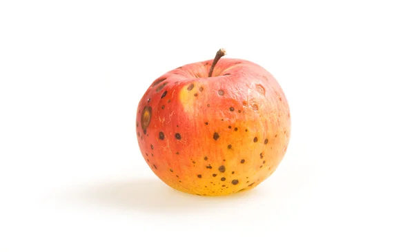 Manzana roja madura estropeada aislada —  Fotos de Stock