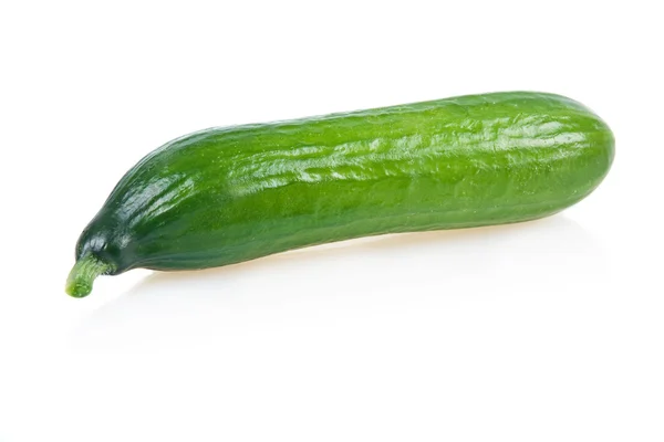 Ripe Green Cucumber Isolated — Stock Photo, Image