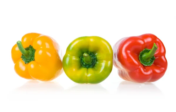 Paprika jaune mûr, vert et rouge — Photo