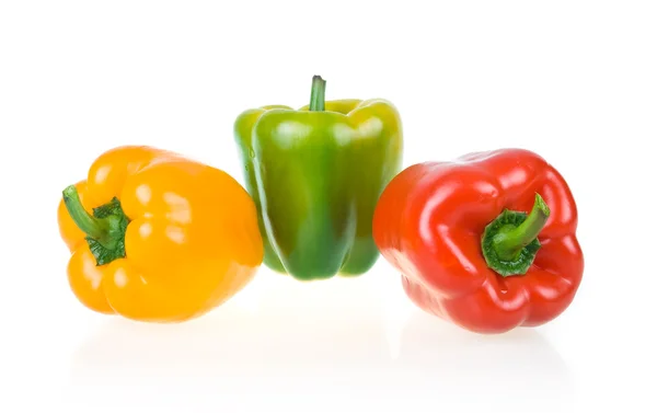 Paprika jaune mûr, vert et rouge — Photo