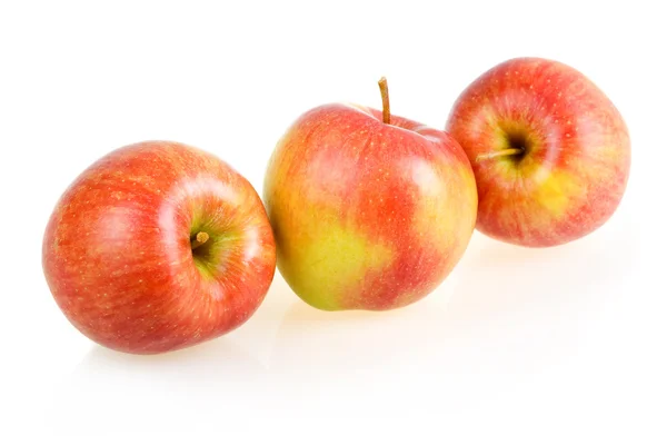 Три лаврові червоні яблука ізольовані — стокове фото
