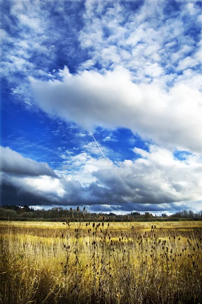 stock image Beautiful Sky