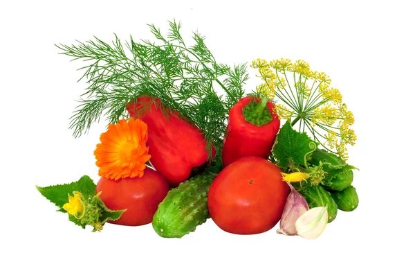 Verduras jugosas y eneldo —  Fotos de Stock