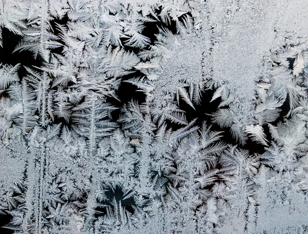 Frostwork — Stockfoto