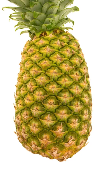 Ananas tekstur - Stock-foto