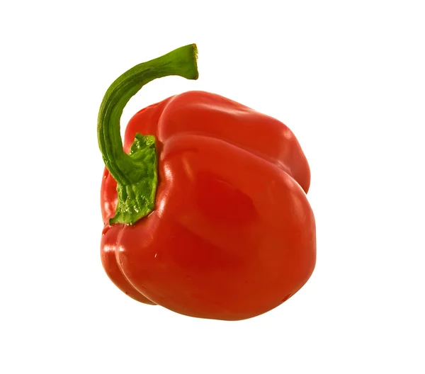 Červené papriky, samostatný — Stock fotografie