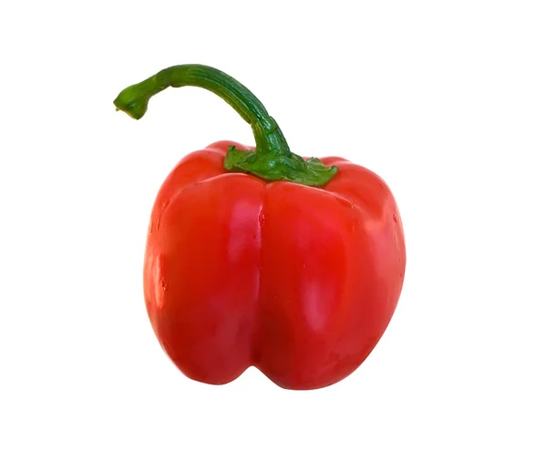 Červené papriky, samostatný — Stock fotografie