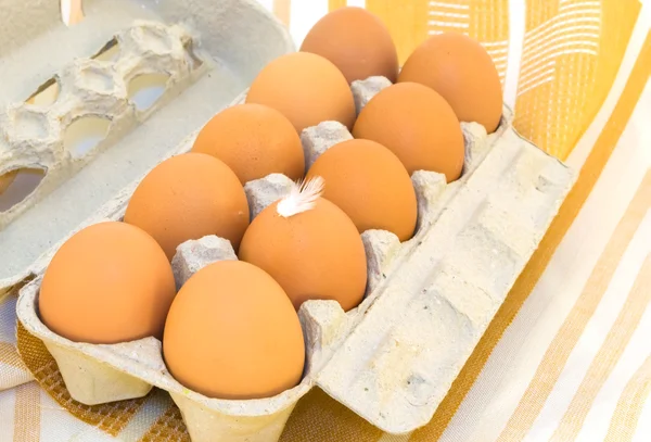 Eieren in een karton — Stockfoto