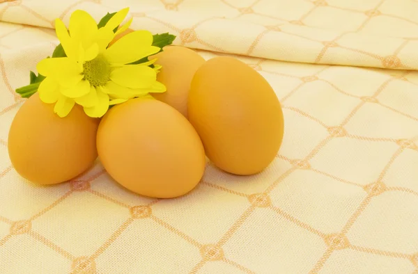 Ovos na toalha de mesa — Fotografia de Stock