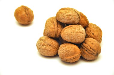 Walnuts2