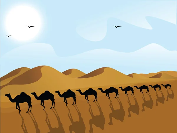 Row of camels in a desert — Stock Photo, Image