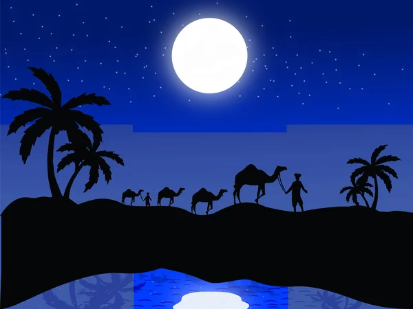 Camels and human in moonlight — Stock Photo, Image