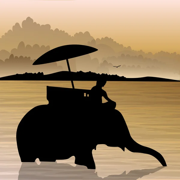 Humain sur éléphant dans l'eau — Photo