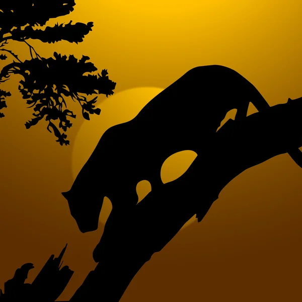 木、野生のトラ — ストック写真